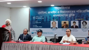 জাতীয় নিরাপত্তার জন্য আরাকান আর্মির সঙ্গে যোগাযোগ বাড়ানো জরুরি: দিলারা চৌধুরী